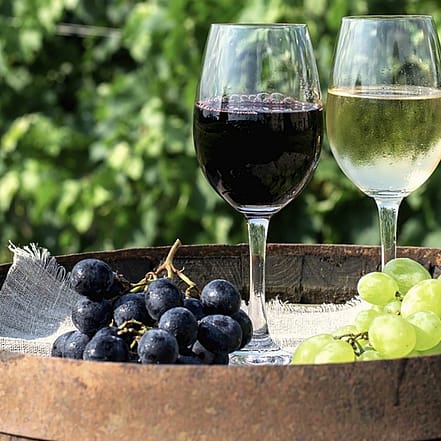 Wein-Verkostung von deutschen Weinen inkl. Snack für 2 oder 4 Personen Berlin OXGE.com Special Offers, Deals & Discounts in Germany