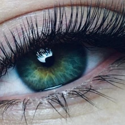 Wimpern Hamburg OXGE.com Special Offers, Deals & Discounts in Germany