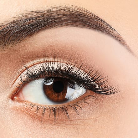 Wimpern Köln OXGE.com Special Offers, Deals & Discounts in Germany