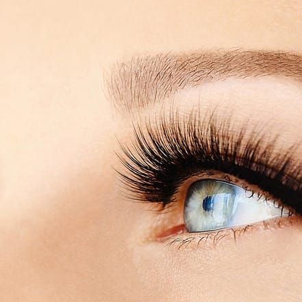 Wimpern-Lifting inkl. Färben Frankfurt OXGE.com Special Offers, Deals & Discounts in Germany