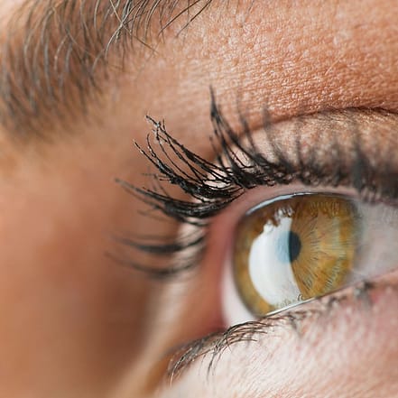 Wimpern-Lifting inkl. Färben Stuttgart OXGE.com Special Offers, Deals & Discounts in Germany