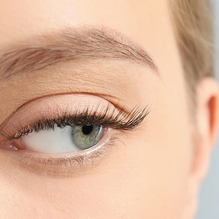 Wimpern-Lifting, opt. Laminierung Bremen OXGE.com Special Offers, Deals & Discounts in Germany