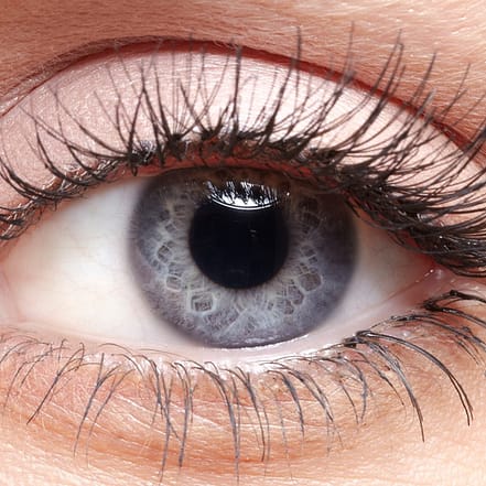 Wimpern Wiesbaden OXGE.com Special Offers, Deals & Discounts in Germany
