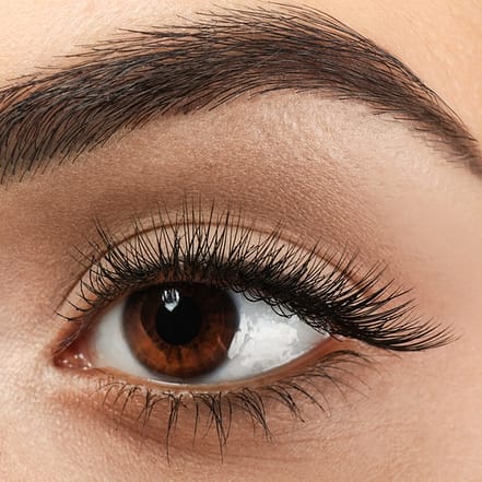Wimpern- und / oder Browlifting inkl. Färben für 1 Person Mainz OXGE.com Special Offers, Deals & Discounts in Germany