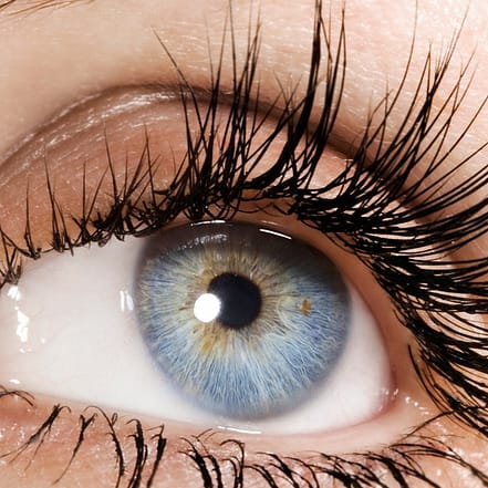 Wimpernlifting oder Wimpernwelle Stuttgart OXGE.com Special Offers, Deals & Discounts in Germany