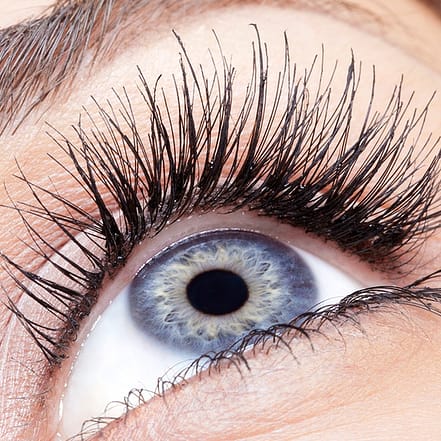 Wimpernverlängerung: 1:1 Technik, Volumen + Kleber o. UV-Licht-Technik Düsseldorf OXGE.com Special Offers, Deals & Discounts in Germany
