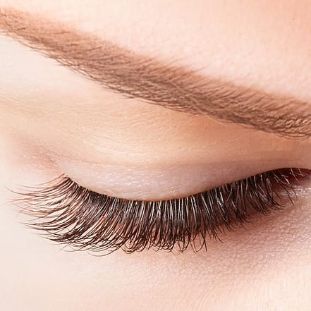 Wimpernverlängerung Berlin OXGE.com Special Offers, Deals & Discounts in Germany