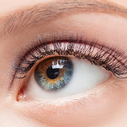 Wimpernverlängerung Volumen-Tech Düsseldorf OXGE.com Special Offers, Deals & Discounts in Germany
