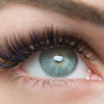 Wimpernverlängerung für den dramatischen Effekt Berlin OXGE.com Special Offers, Deals & Discounts in Germany