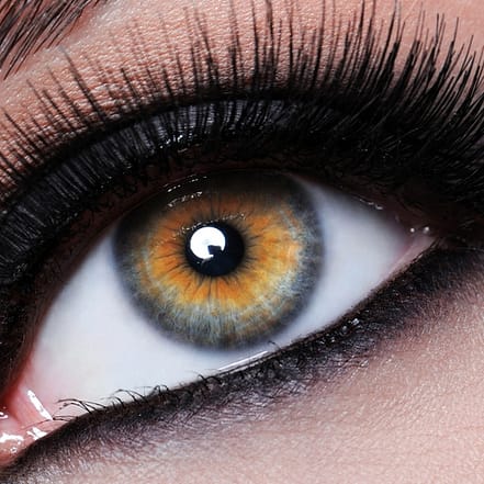 Wimpernverlängerung in der 1:1 Technik mit bis zu 150 Wimpern pro Auge Köln OXGE.com Special Offers, Deals & Discounts in Germany