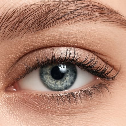 Wimpernverlängerung in der 1:1-Technik opt. inkl. Refill Essen OXGE.com Special Offers, Deals & Discounts in Germany