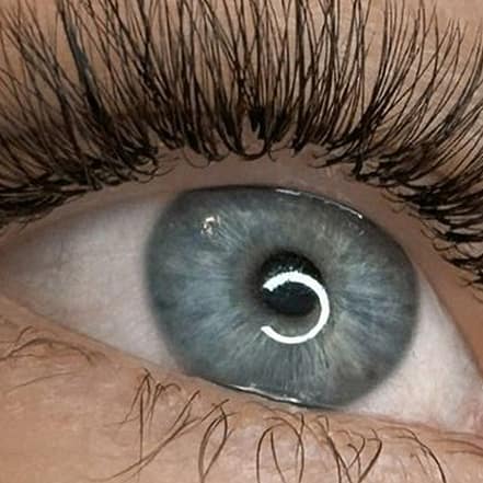 Wimpernverlängerung mit 1:1-, Volumen- oder Mega-Volumen-Technik Hamburg OXGE.com Special Offers, Deals & Discounts in Germany