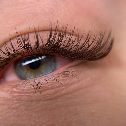Wimpernverlängerungen Bielefeld OXGE.com Special Offers, Deals & Discounts in Germany