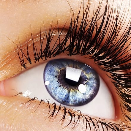 Wimpernverlängerungen München OXGE.com Special Offers, Deals & Discounts in Germany