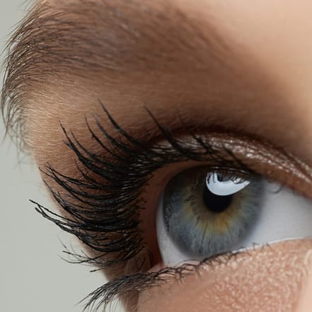 Wimpernwelle Berlin OXGE.com Special Offers, Deals & Discounts in Germany