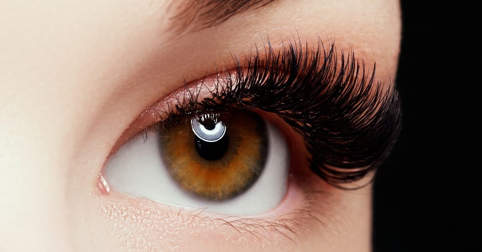 Bis zu 50% Rabatt auf den Wimpernverlängerungen bei Najat Nehme Düsseldorf OXGE.com Special Offers, Deals & Discounts in Germany