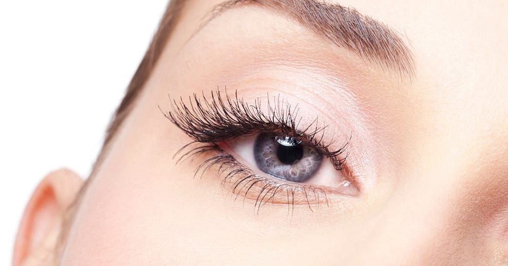 Bis zu 59% Rabatt auf den Wimpernverlängerungen bei Beauty concept by Cristina Stuttgart OXGE.com Special Offers, Deals & Discounts in Germany