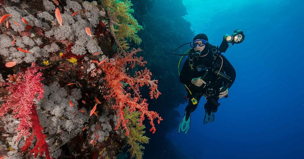 Entdecke die Unterwasserwelt: Open-Water-Diver- oder Nitrox-Kurs Berlin OXGE.com Special Offers, Deals & Discounts in Germany