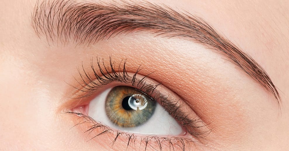 Ausdrucksstarke Augen: Wimpern-Lifting opt. inkl. Färben für 1 Person Hannover OXGE.com Special Offers, Deals & Discounts in Germany