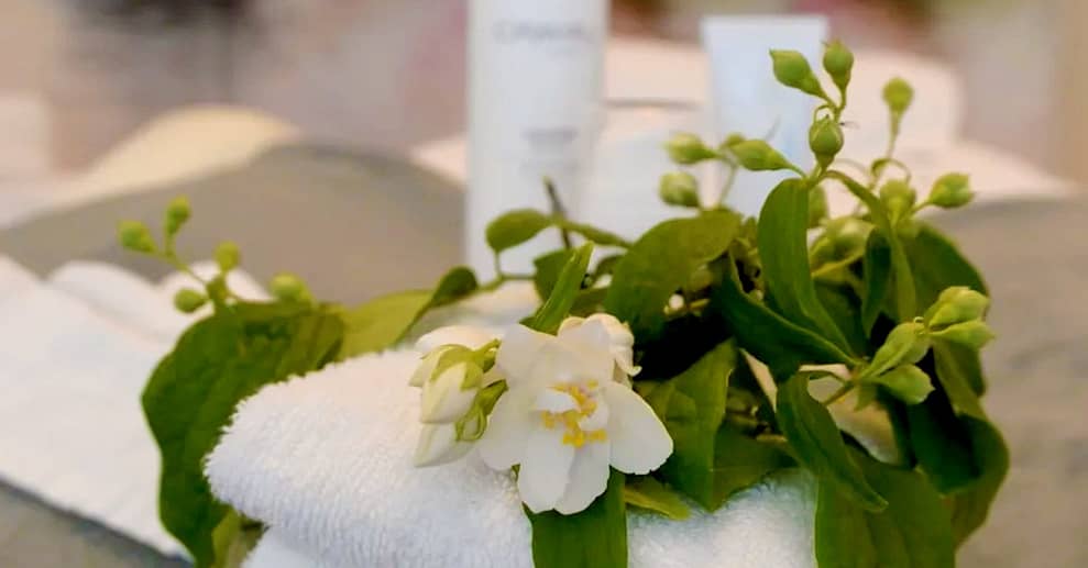 Microneedling od. Aqua-Facial, opt. inkl. Augenbrauen & Wimpern zupfen Frankfurt OXGE.com Special Offers, Deals & Discounts in Germany