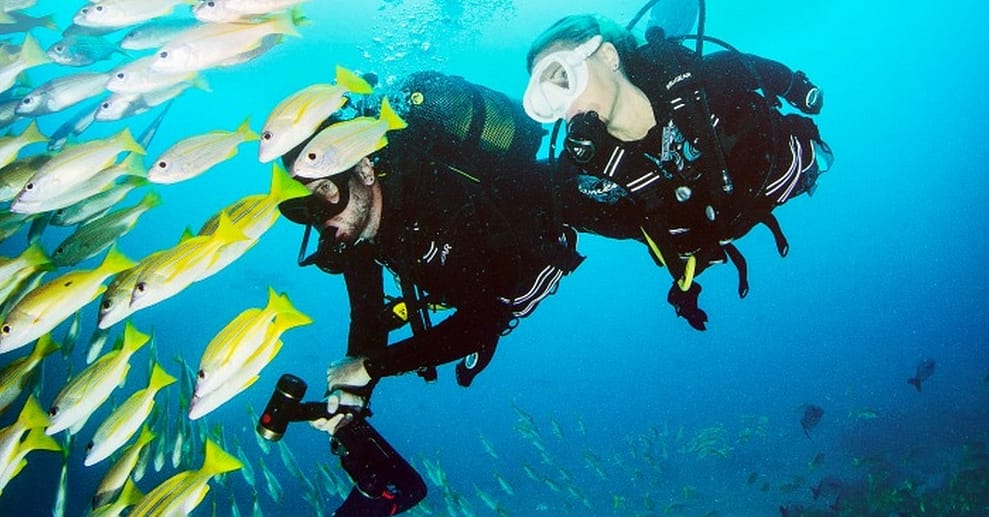 Open Water Diver Tauchkurs Nürnberg OXGE.com Special Offers, Deals & Discounts in Germany