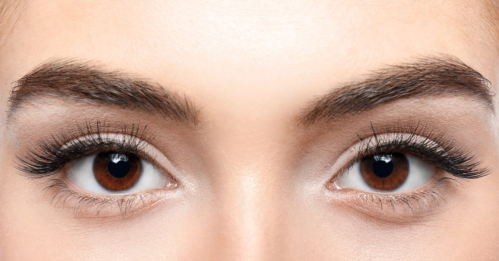 Perfekter Augenaufschlag mit Wimpern- oder Brownlifting inkl. Färben Dresden OXGE.com Special Offers, Deals & Discounts in Germany