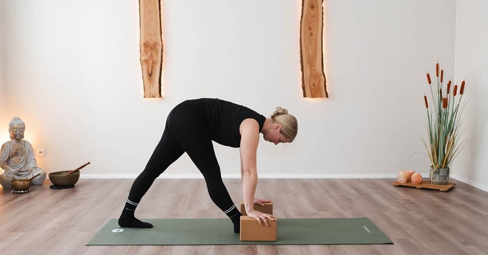 Probestunde Pole Dance, Stretching oder Yoga für 1 Person Aachen OXGE.com Special Offers, Deals & Discounts in Germany