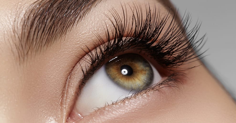 Volumen-Wimpernverlängerung Frankfurt OXGE.com Special Offers, Deals & Discounts in Germany