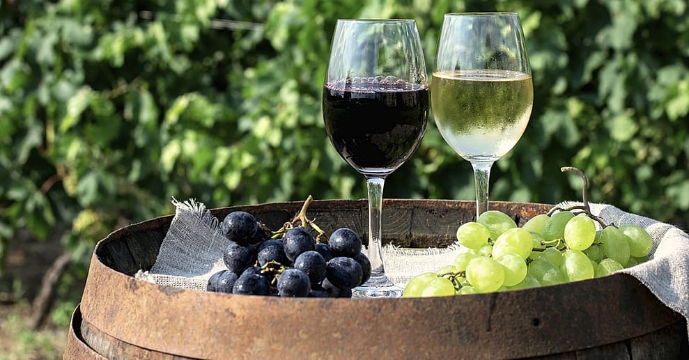 Wein-Verkostung von deutschen Weinen inkl. Snack für 2 oder 4 Personen Berlin OXGE.com Special Offers, Deals & Discounts in Germany