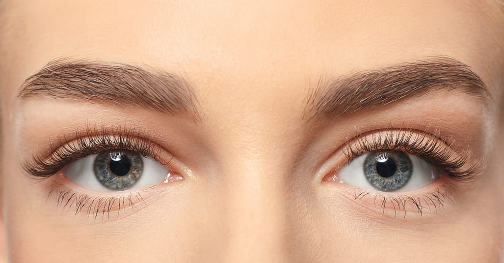 Wimpern-Lifting inkl. Färben Frankfurt OXGE.com Special Offers, Deals & Discounts in Germany