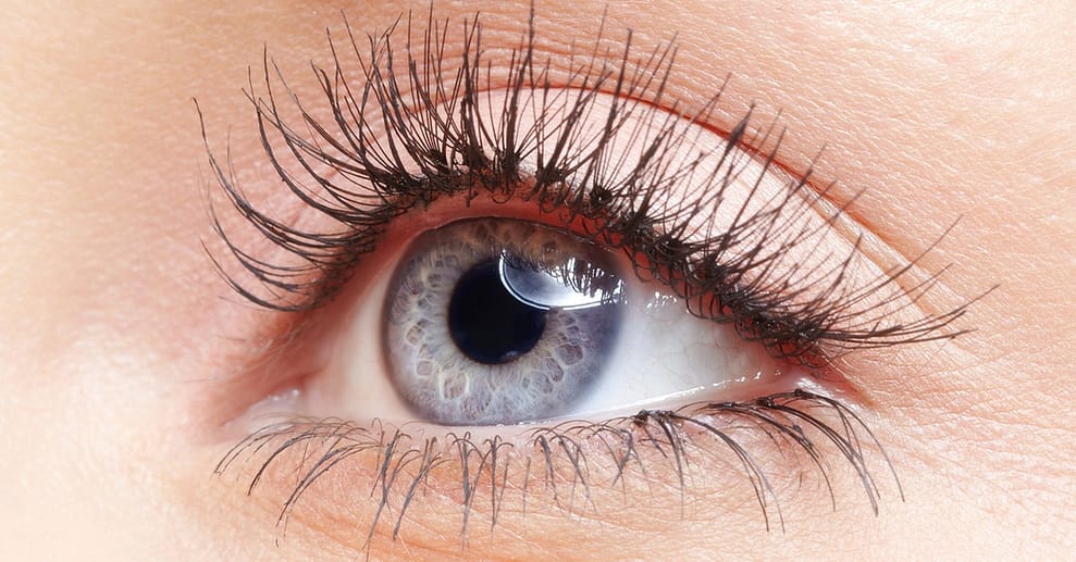 Wimpernverlängerung 1:1 Technik Stuttgart OXGE.com Special Offers, Deals & Discounts in Germany