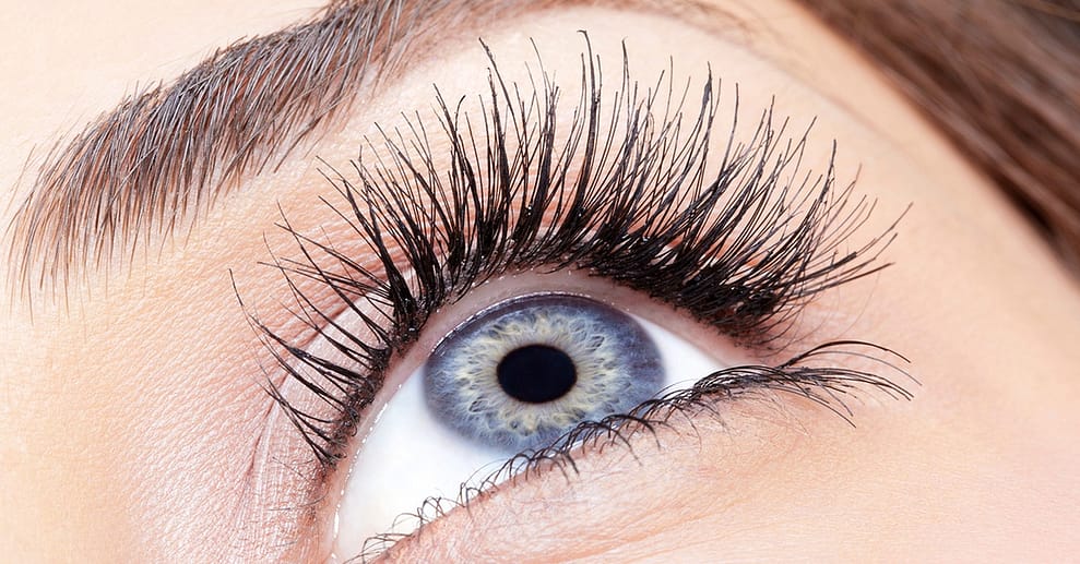 Wimpernverlängerung: 1:1 Technik, Volumen + Kleber o. UV-Licht-Technik Düsseldorf OXGE.com Special Offers, Deals & Discounts in Germany