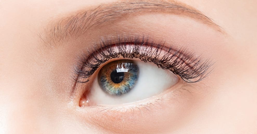 Wimpernverlängerung Volumen-Tech Düsseldorf OXGE.com Special Offers, Deals & Discounts in Germany