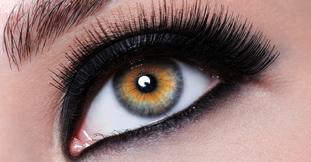 Wimpernverlängerung in der 1:1 Technik mit bis zu 150 Wimpern pro Auge Köln OXGE.com Special Offers, Deals & Discounts in Germany