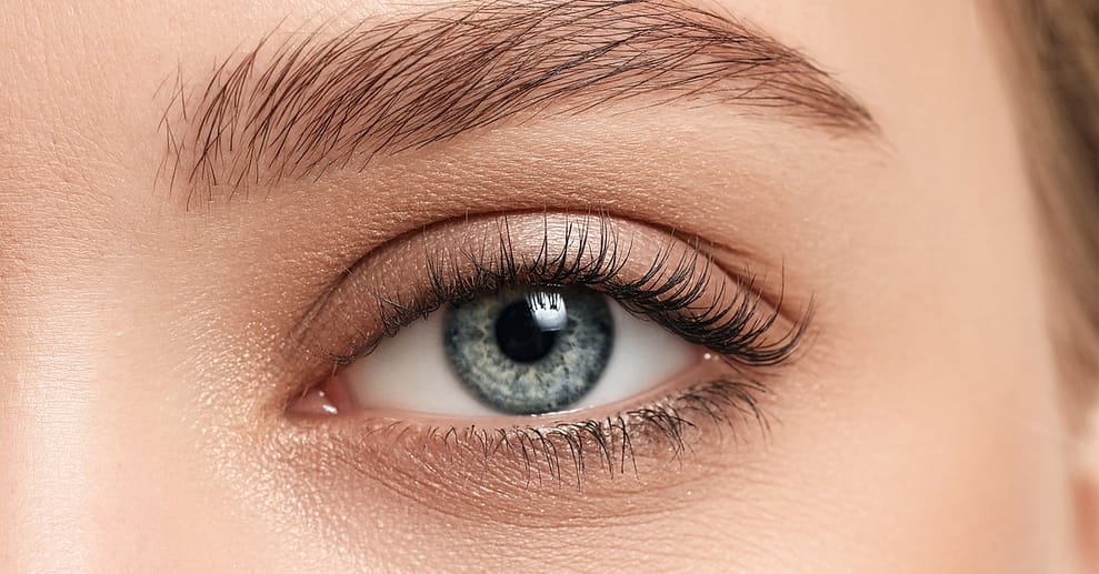 Wimpernverlängerung in der 1:1-Technik opt. inkl. Refill Essen OXGE.com Special Offers, Deals & Discounts in Germany