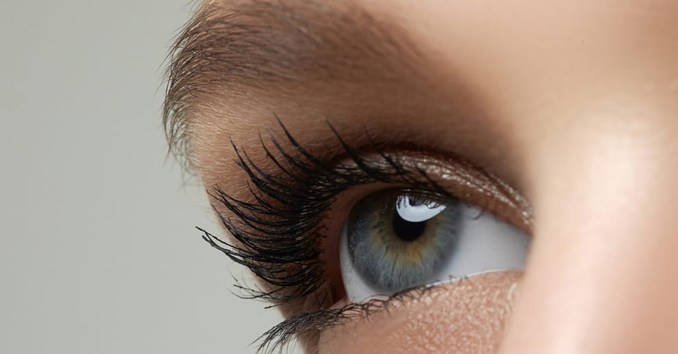 Wimpernwelle Berlin OXGE.com Special Offers, Deals & Discounts in Germany