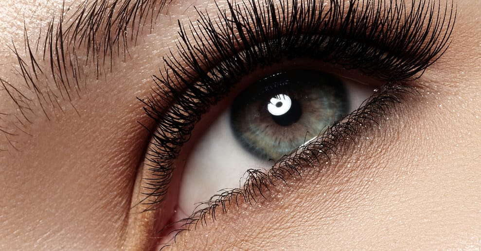 Wimpern Frankfurt OXGE.com Special Offers, Deals & Discounts in Germany