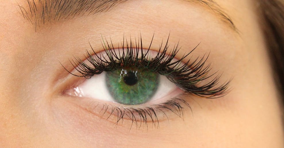 Wimpernwelle, Leipzig/Halle OXGE.com Special Offers, Deals & Discounts in Germany