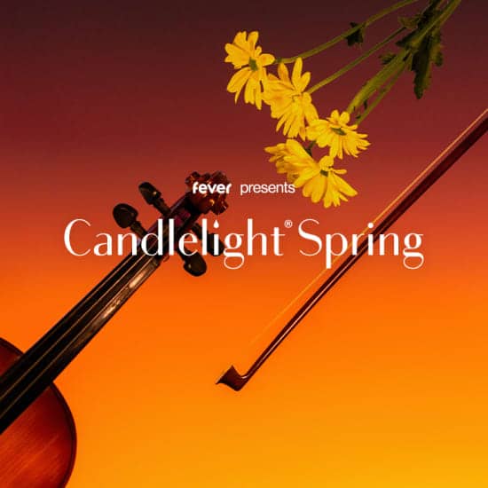 Candlelight Spring: Queen vs. ABBA at MARKK Museum am Rothenbaum, Hamburg, Germany